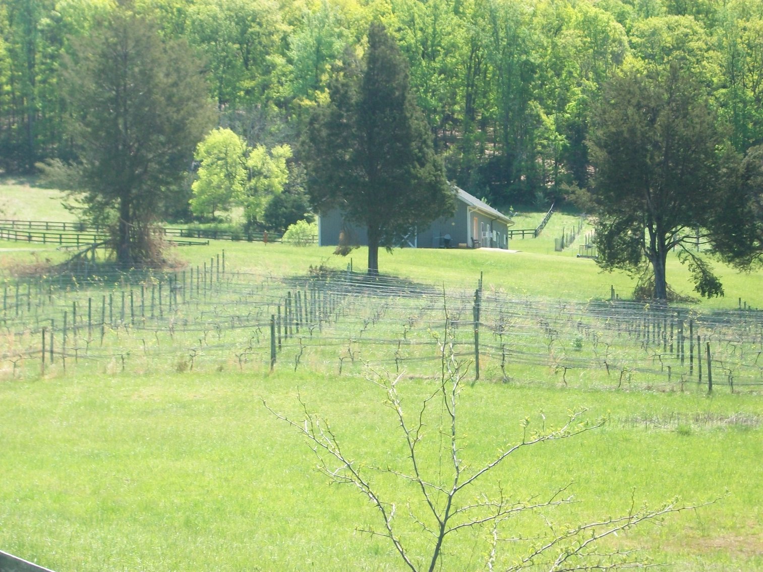 Image for Absolute Trustee Auction - 33.03 ± acres selling in 2 tracts