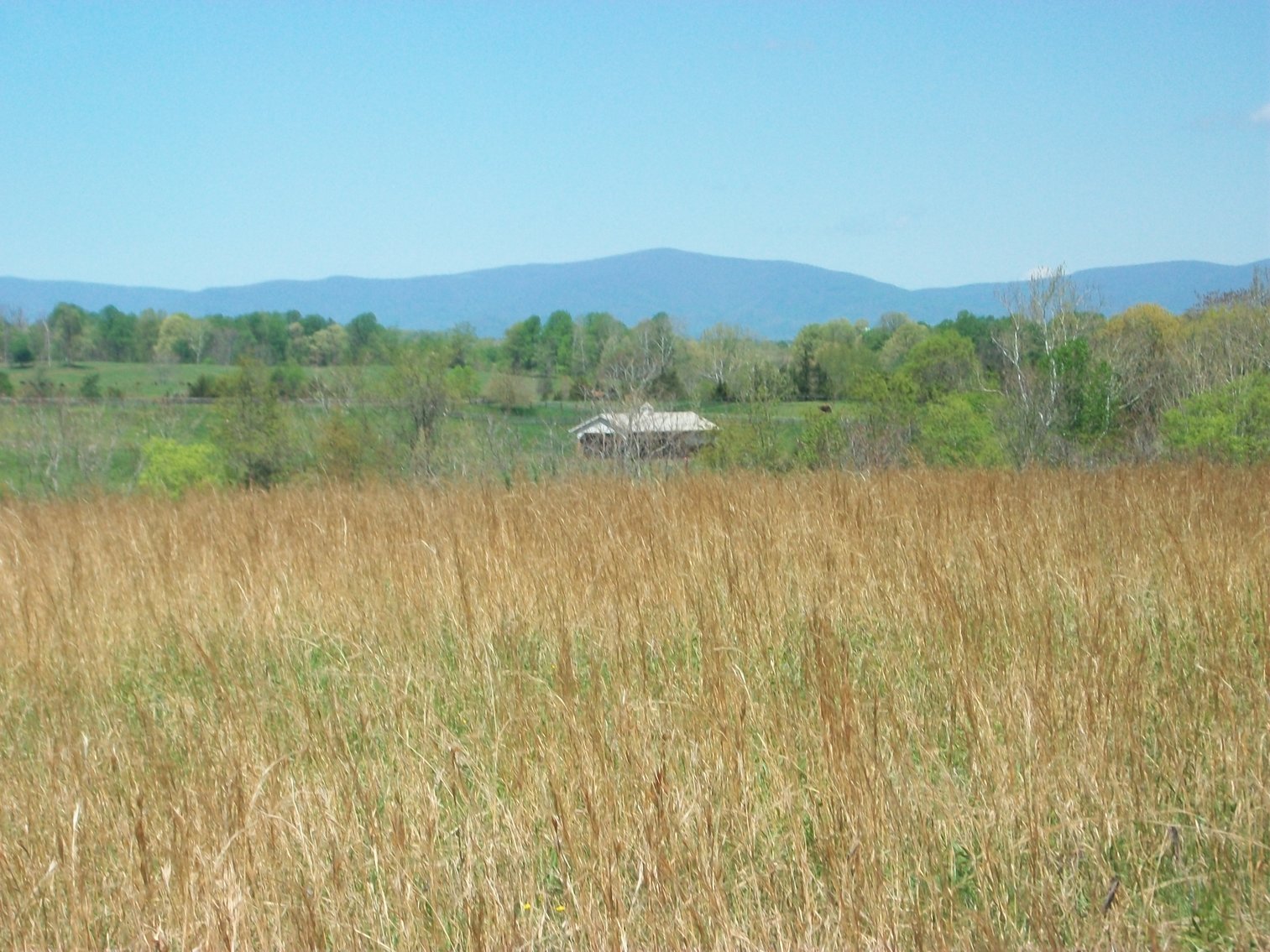 Image for Absolute Trustee Auction - 33.03 ± acres selling in 2 tracts