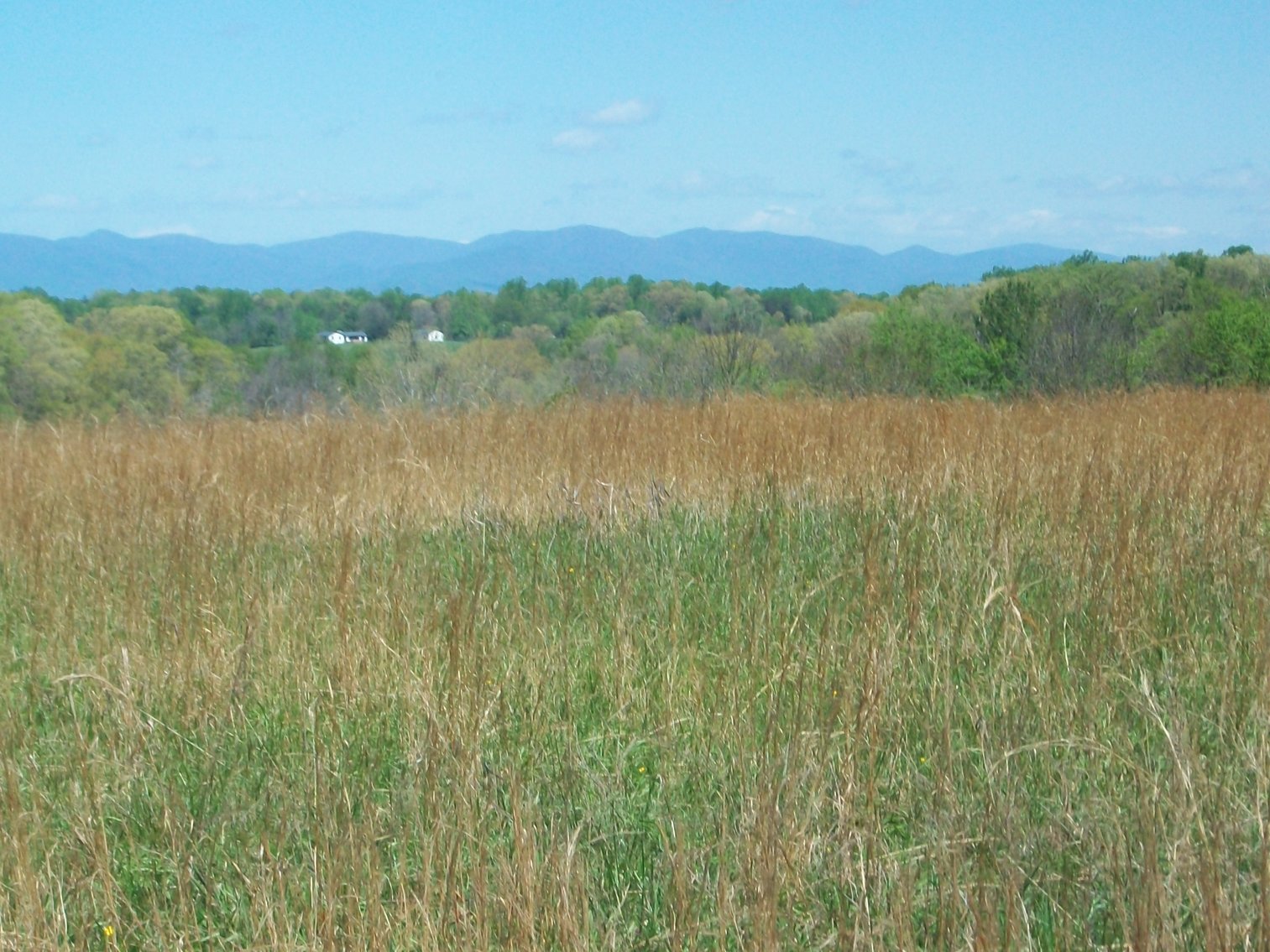 Image for Absolute Trustee Auction - 33.03 ± acres selling in 2 tracts