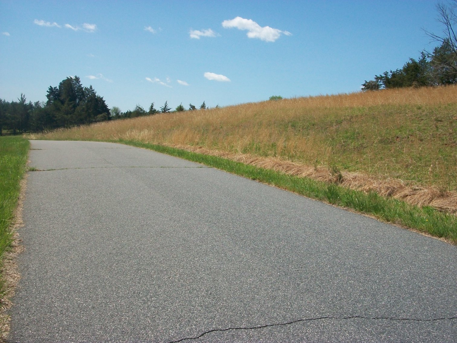 Image for Absolute Trustee Auction - 33.03 ± acres selling in 2 tracts