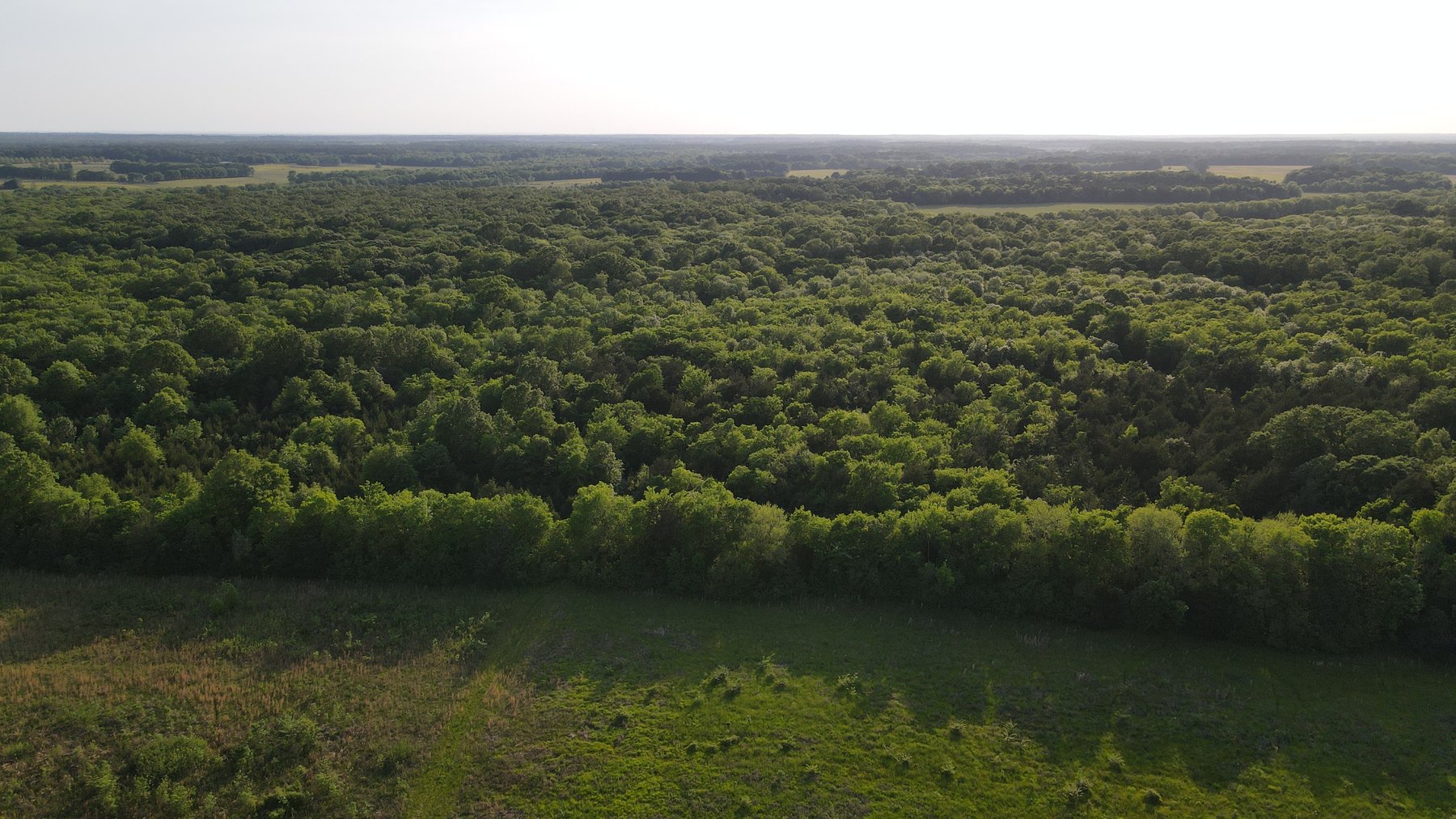 Image for Luxury Home and 124 Acres, Legacy Property - Columbus, Mississippi