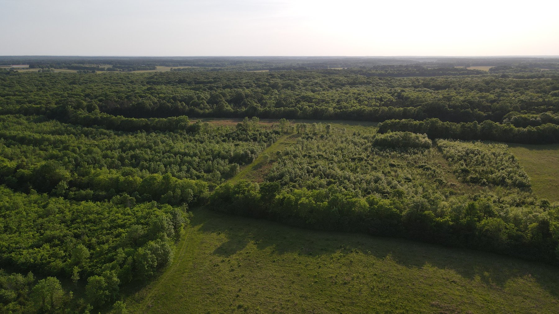 Image for Luxury Home and 124 Acres, Legacy Property - Columbus, Mississippi