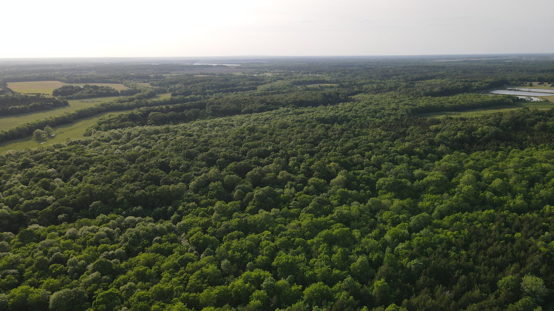 Image for Luxury Home and 124 Acres, Legacy Property - Columbus, Mississippi