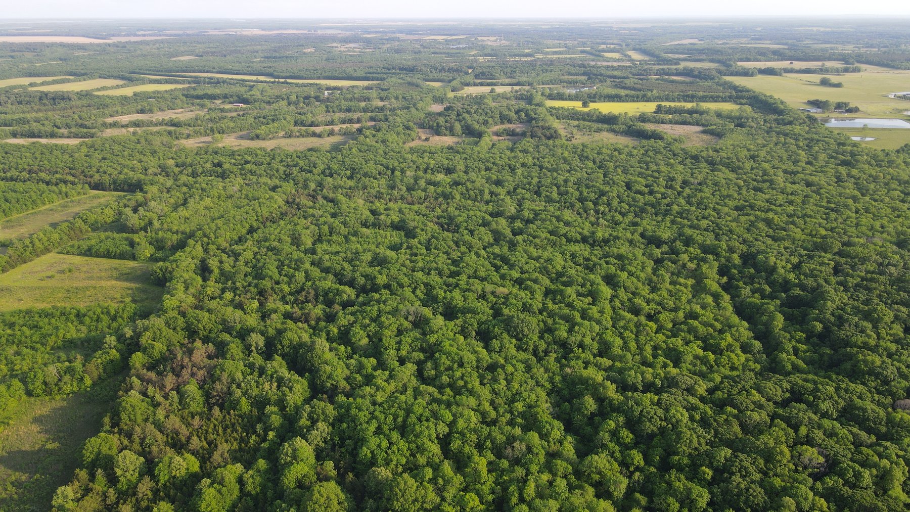 Image for Luxury Home and 124 Acres, Legacy Property - Columbus, Mississippi