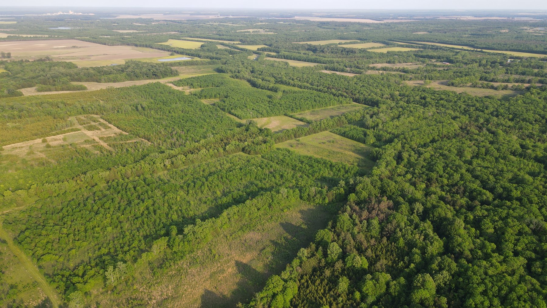 Image for Luxury Home and 124 Acres, Legacy Property - Columbus, Mississippi