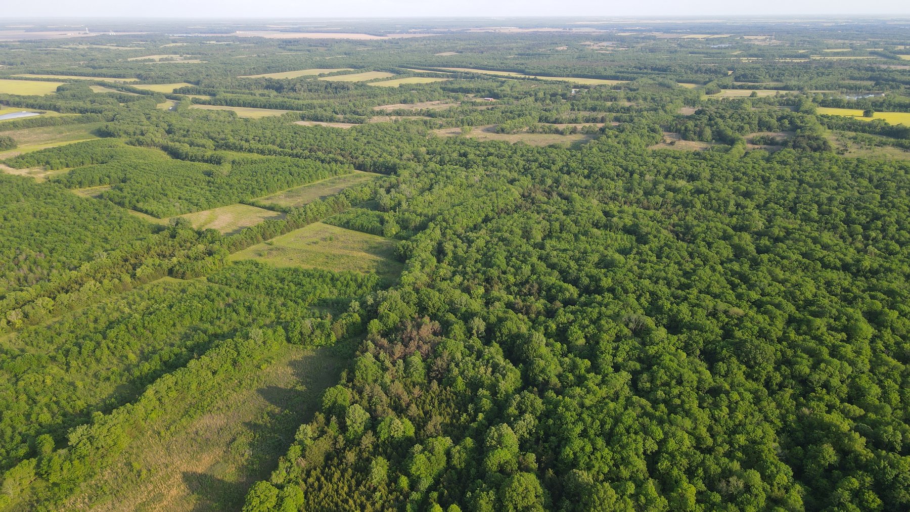 Image for Luxury Home and 124 Acres, Legacy Property - Columbus, Mississippi
