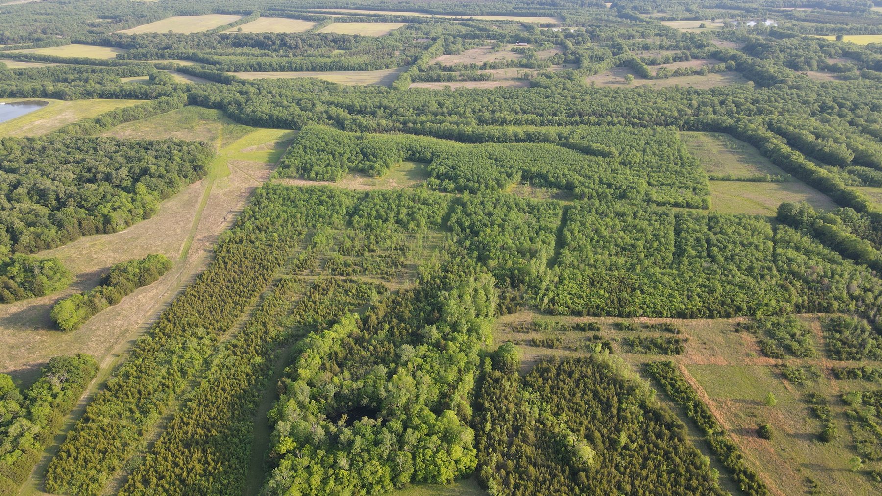 Image for Luxury Home and 124 Acres, Legacy Property - Columbus, Mississippi