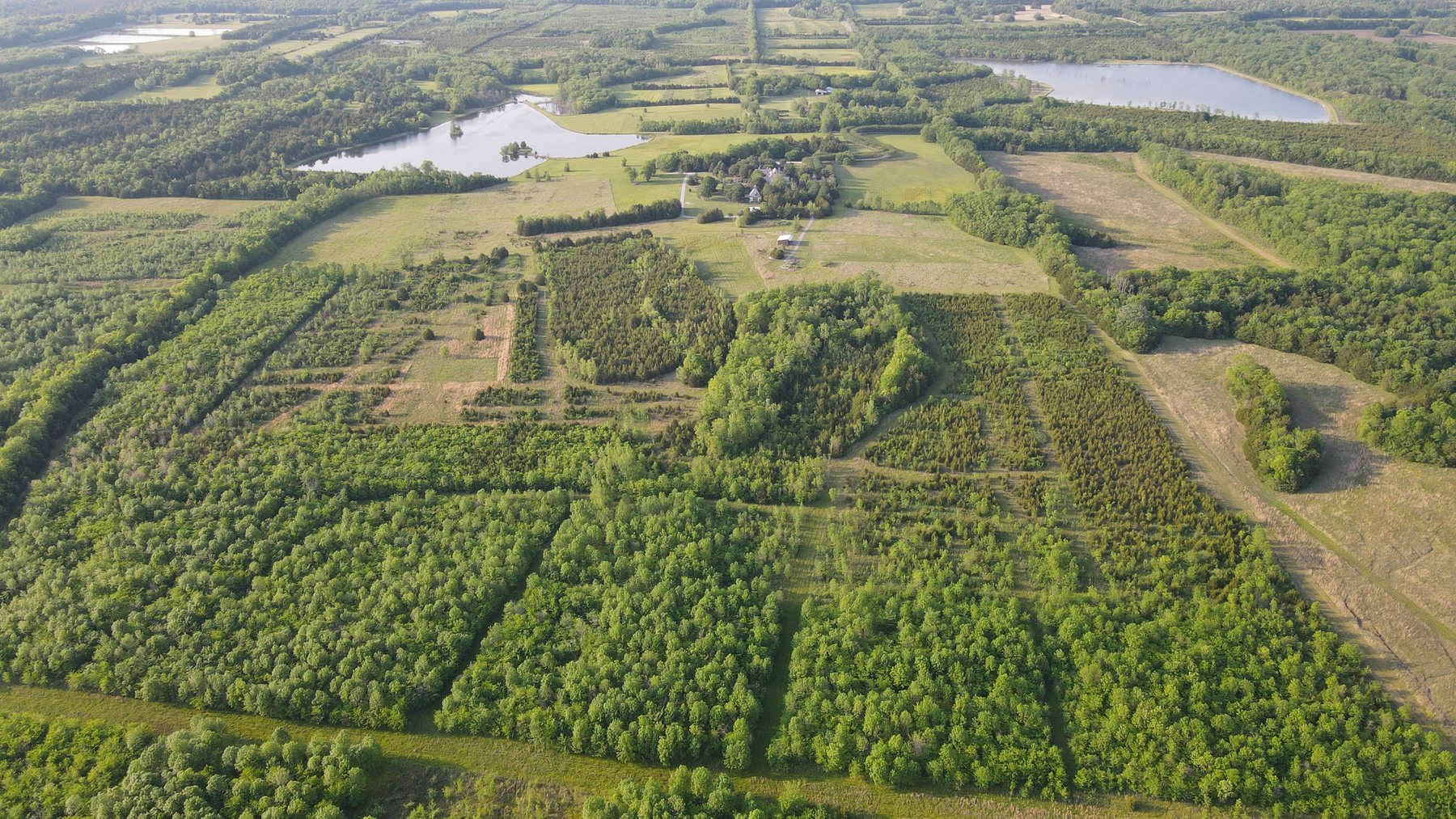 Image for Luxury Home and 124 Acres, Legacy Property - Columbus, Mississippi