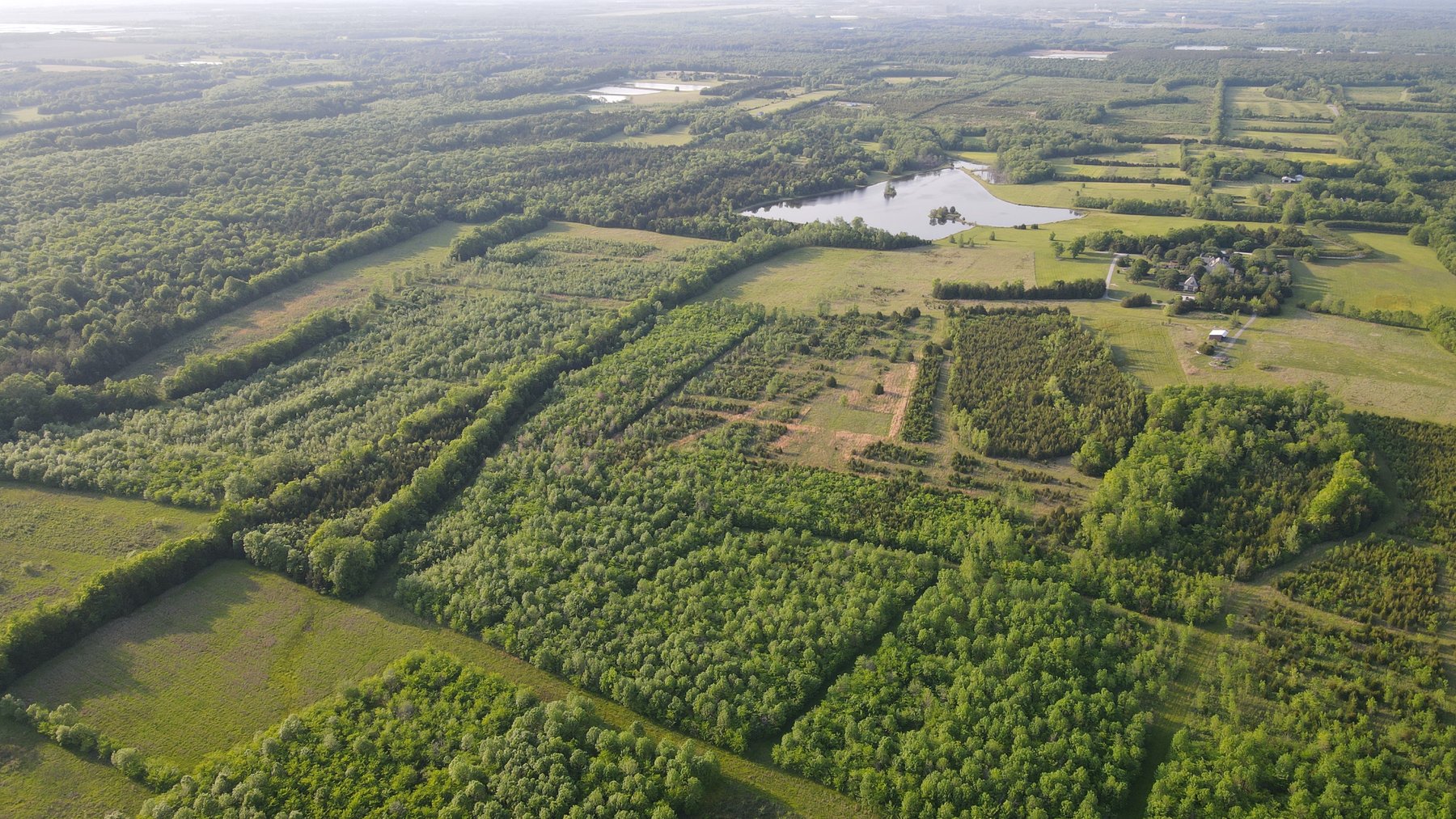 Image for Luxury Home and 124 Acres, Legacy Property - Columbus, Mississippi