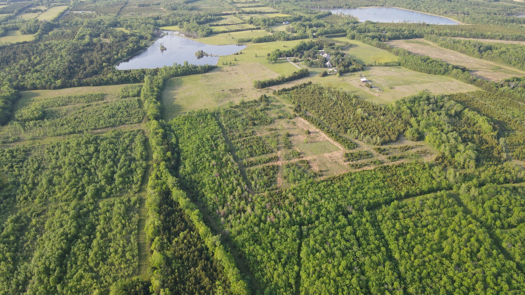 Image for Luxury Home and 124 Acres, Legacy Property - Columbus, Mississippi