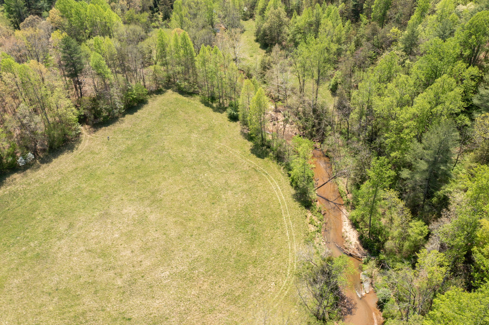 Image for Farm Real Estate Auction - 155± acres in Monroe VA