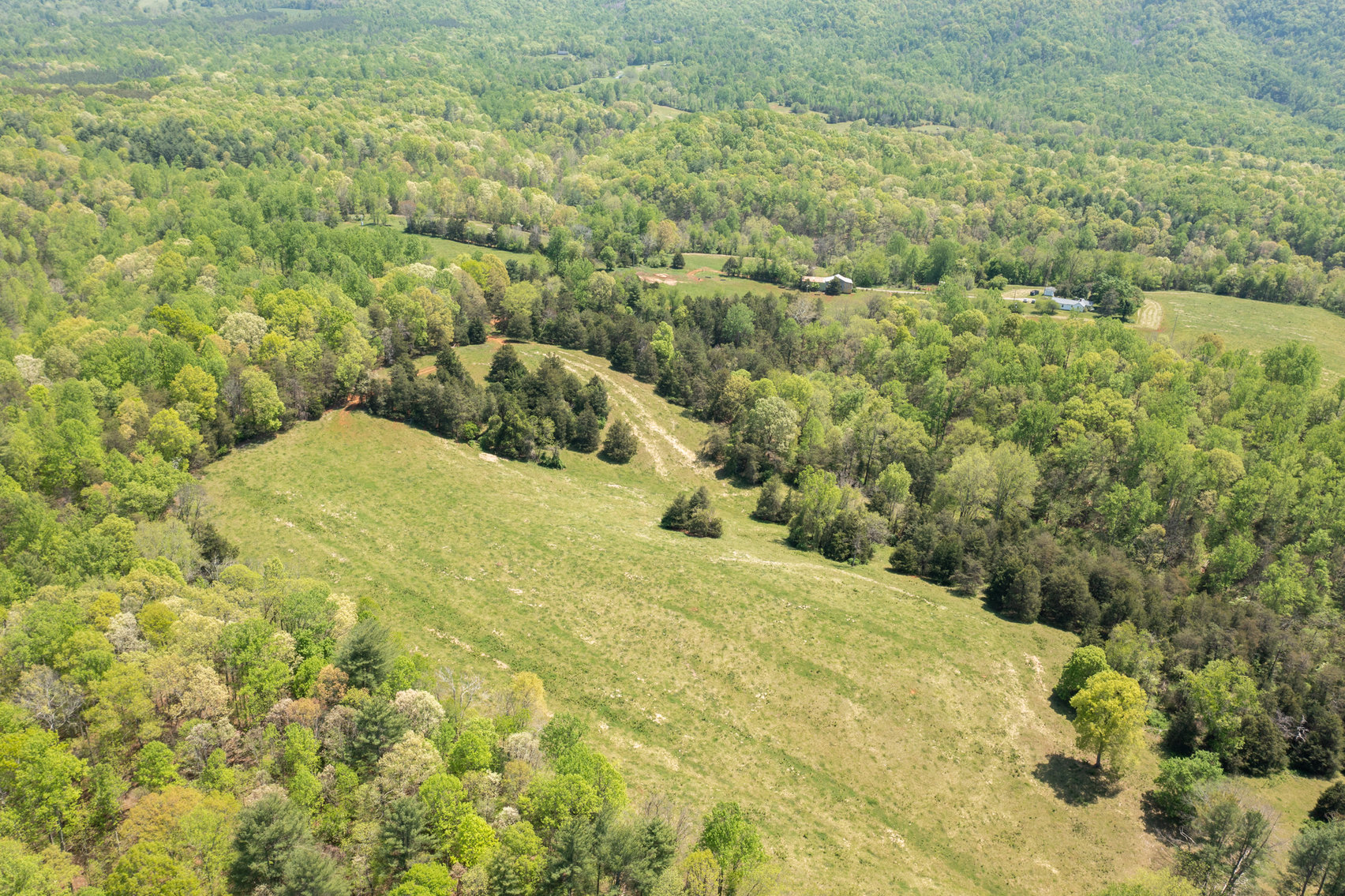 Image for Farm Real Estate Auction - 155± acres in Monroe VA