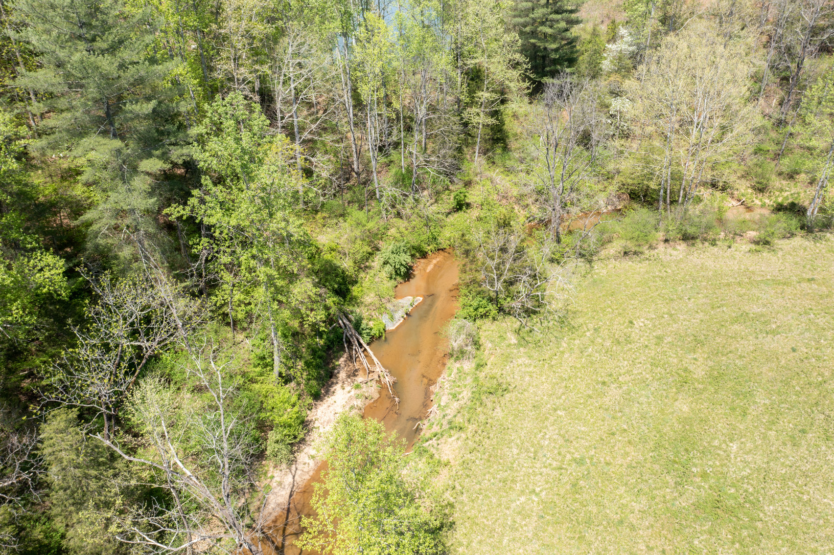 Image for Farm Real Estate Auction - 155± acres in Monroe VA