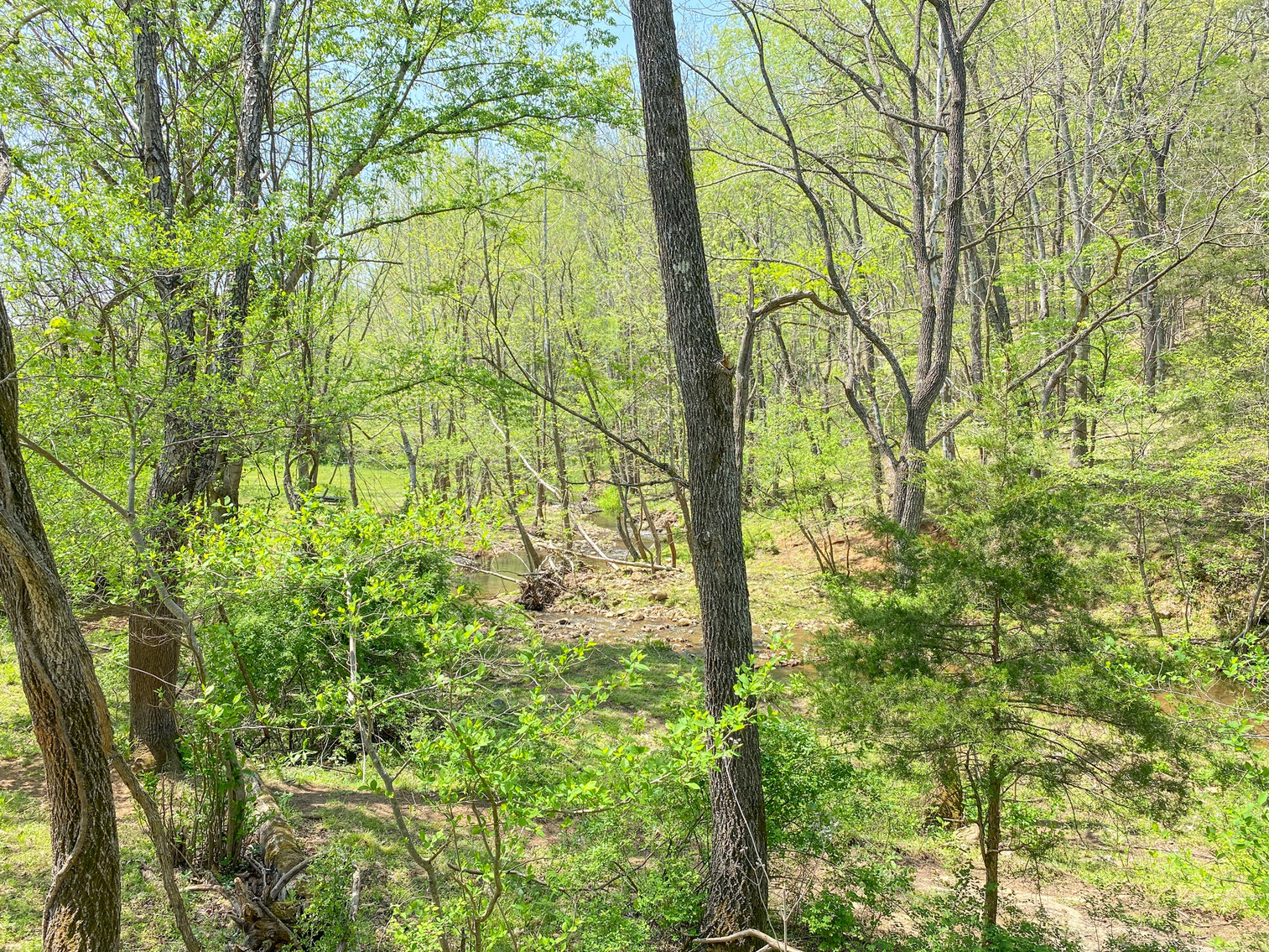 Image for Farm Real Estate Auction - 155± acres in Monroe VA