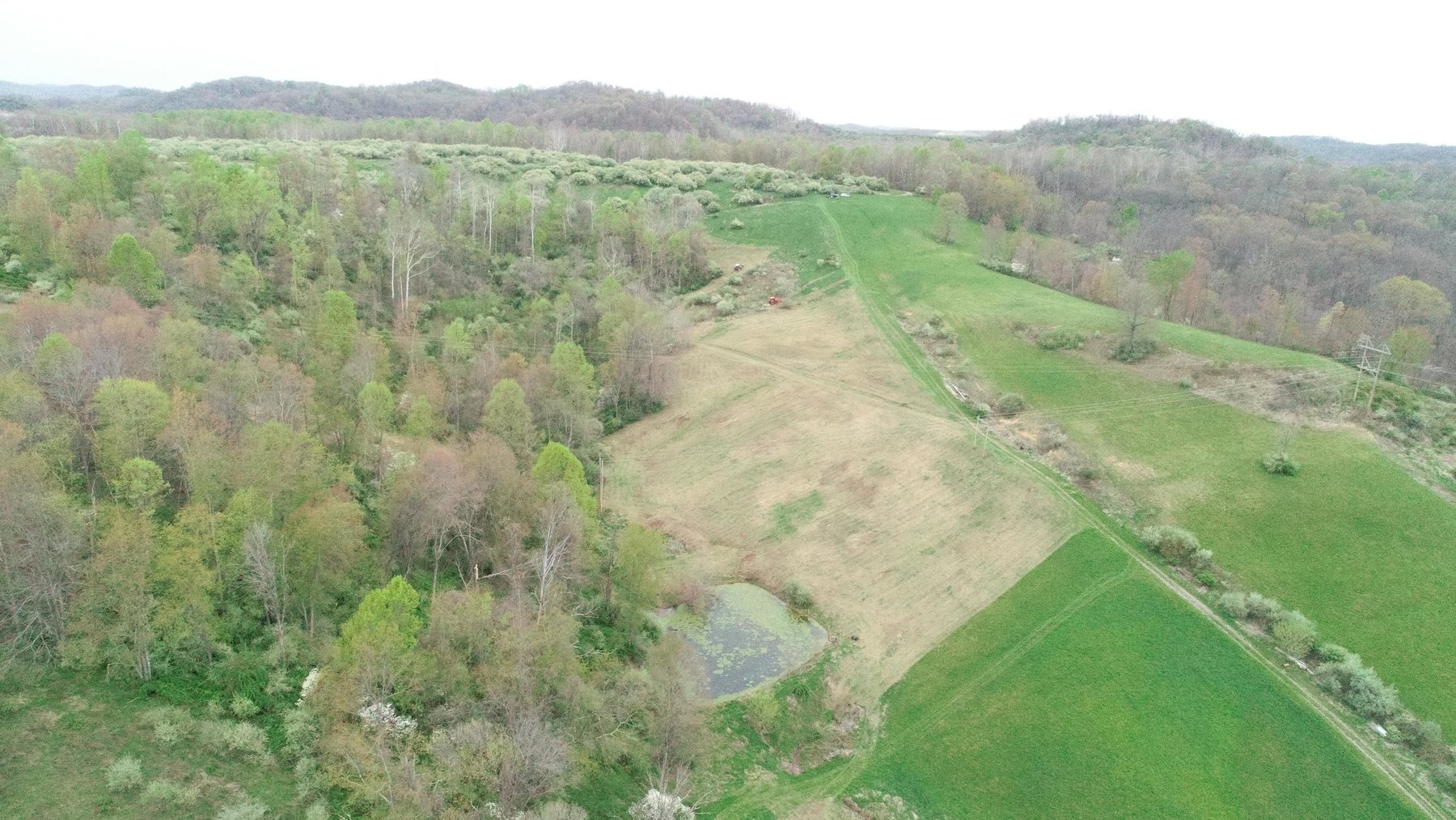 Image for SOLD $1,050,500 - 66 Desirable Acres along I-79 in Bridgeport