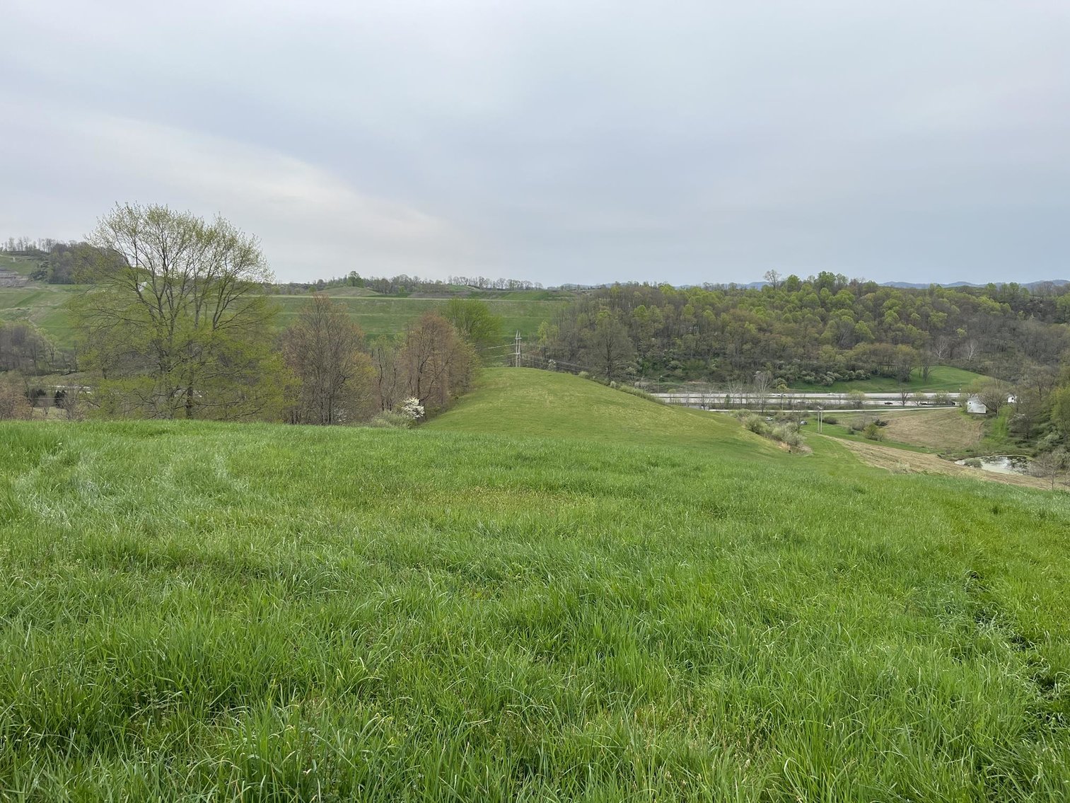 Image for SOLD $1,050,500 - 66 Desirable Acres along I-79 in Bridgeport