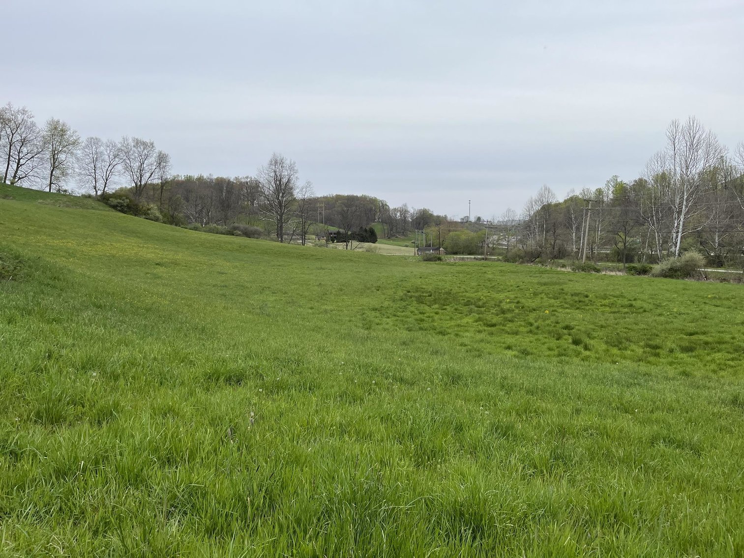 Image for SOLD $1,050,500 - 66 Desirable Acres along I-79 in Bridgeport