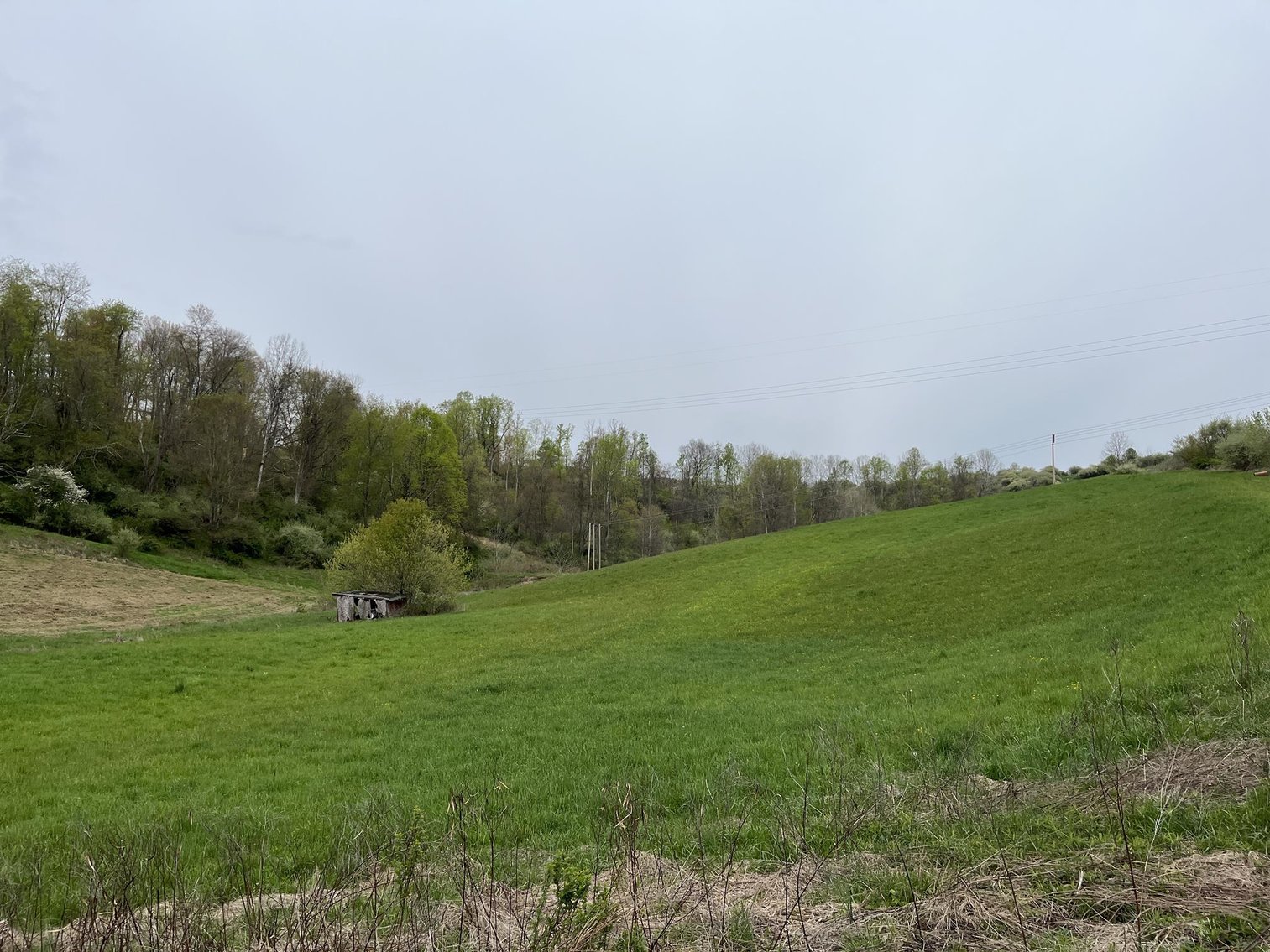 Image for SOLD $1,050,500 - 66 Desirable Acres along I-79 in Bridgeport