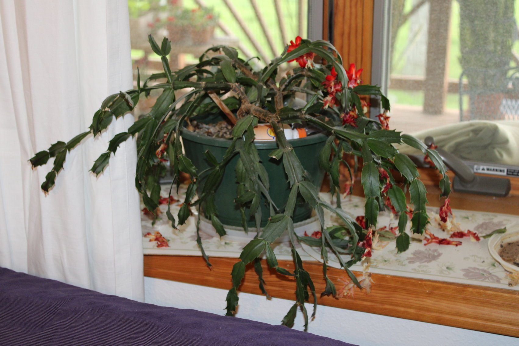 Image for FARM ESTATE AUCTION