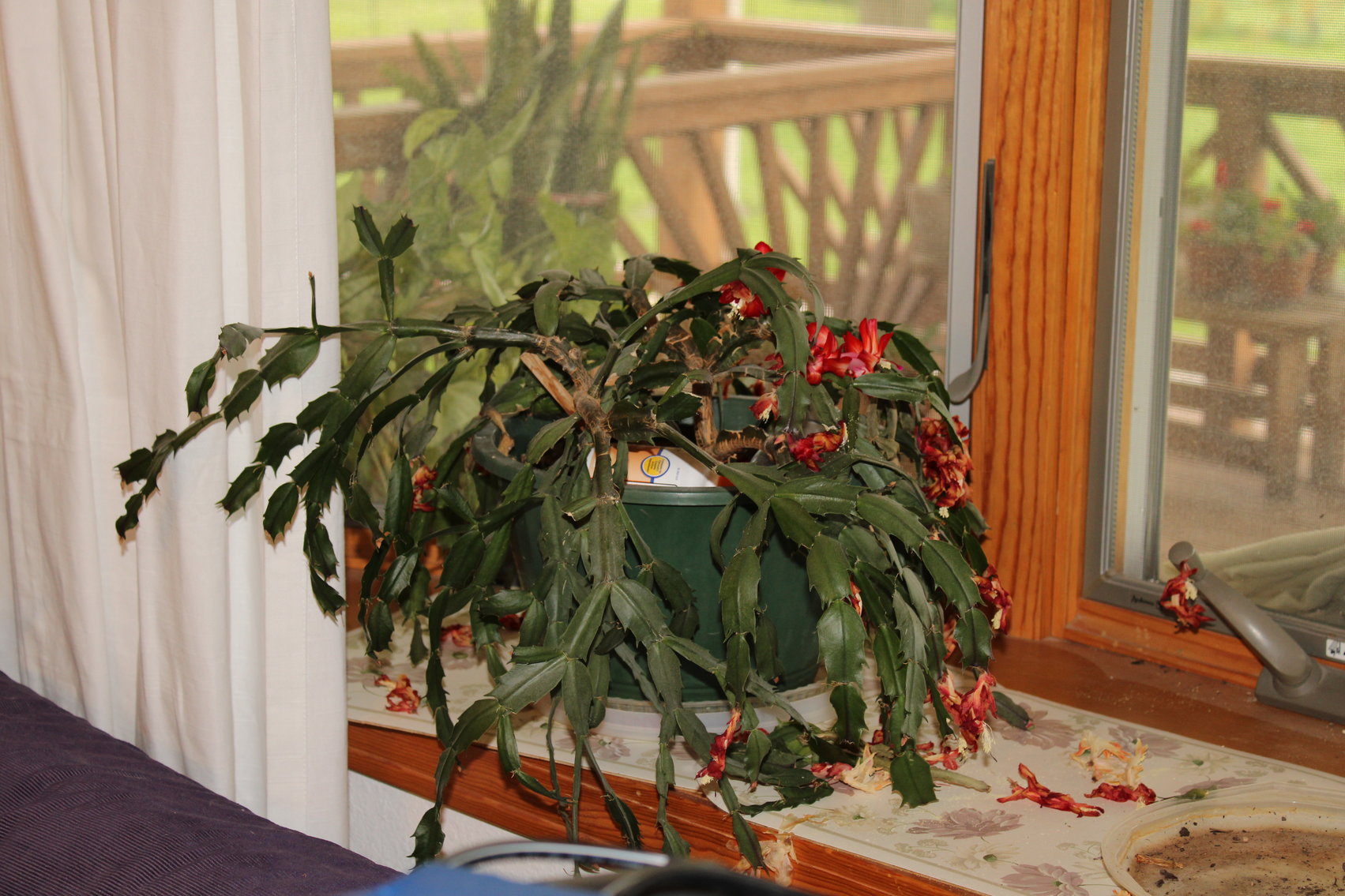 Image for FARM ESTATE AUCTION