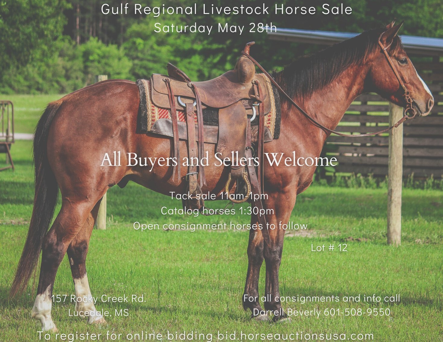 Gulf Regional Livestock Horse Sale Lucedale, Mississippi May 28th