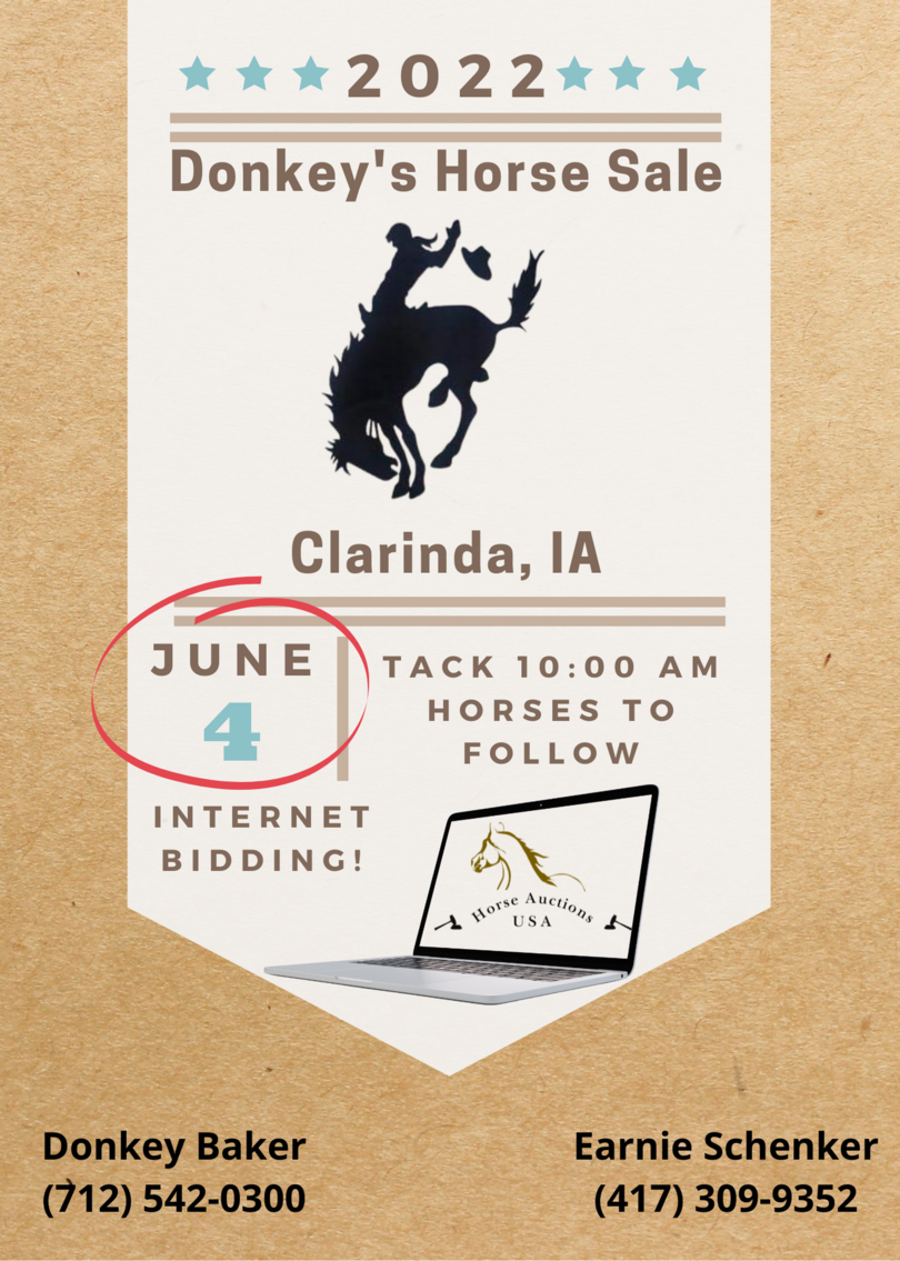 Image for Donkey's Horse Sale - Clarinda, Iowa  June 4th