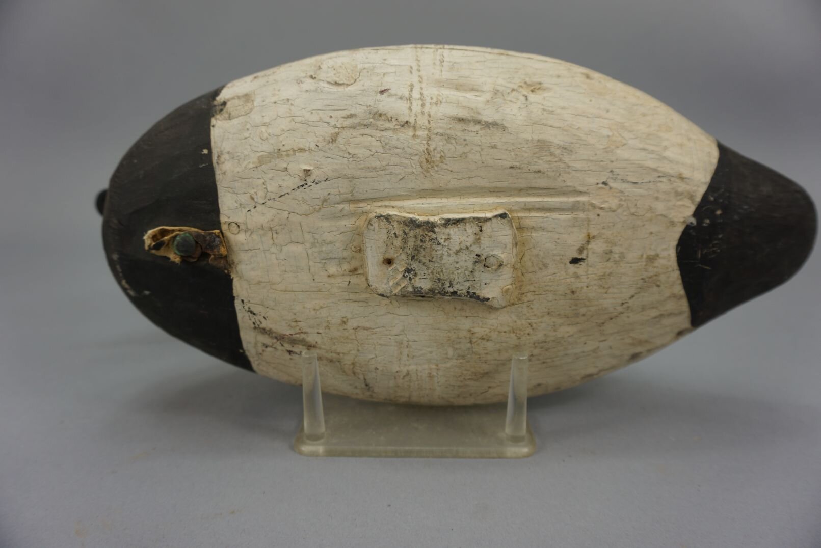 Image for Spring Sportsman's Auction 2022 Session Three