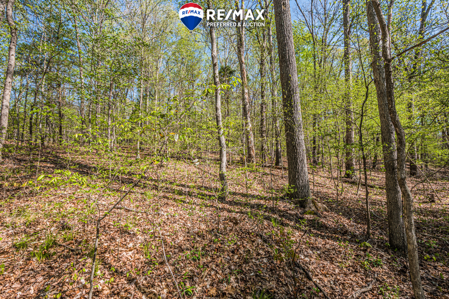 Image for 750 Myers Chapel Road