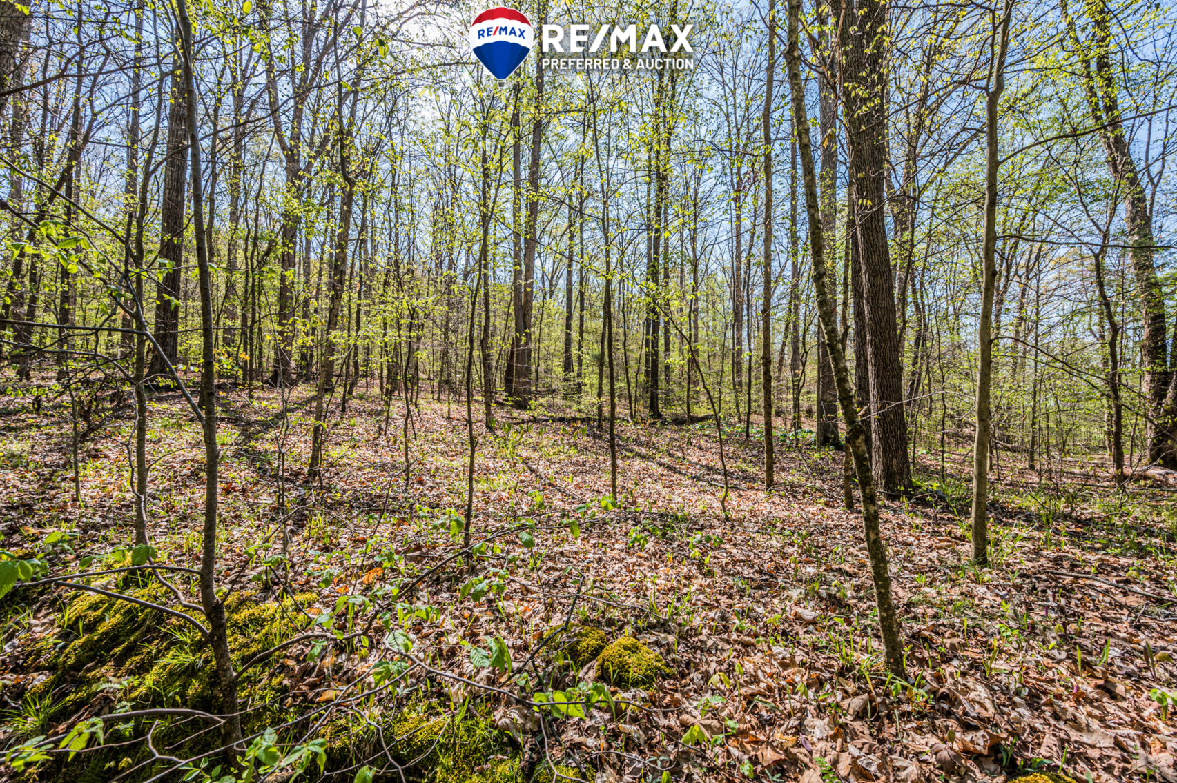 Image for 750 Myers Chapel Road