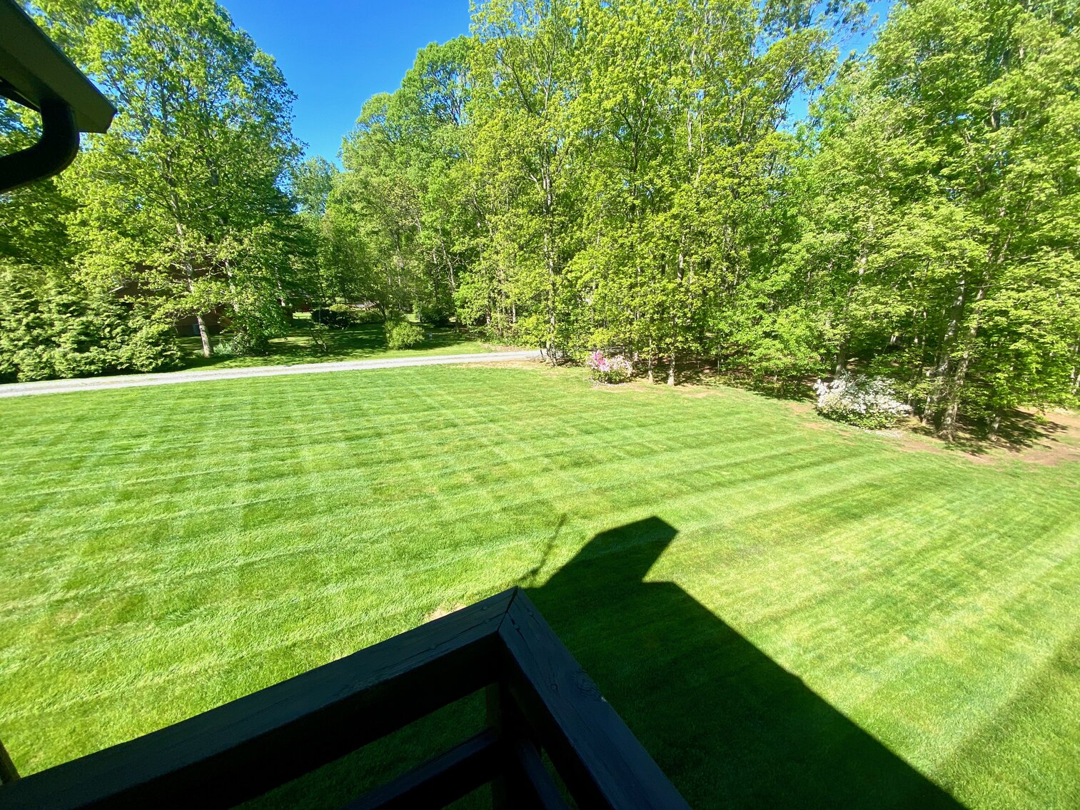 Image for Immaculate 3 BR/3 BA Home w/Large Detached Garage/Shop on 1.26 +/- Acres--Culpeper, VA