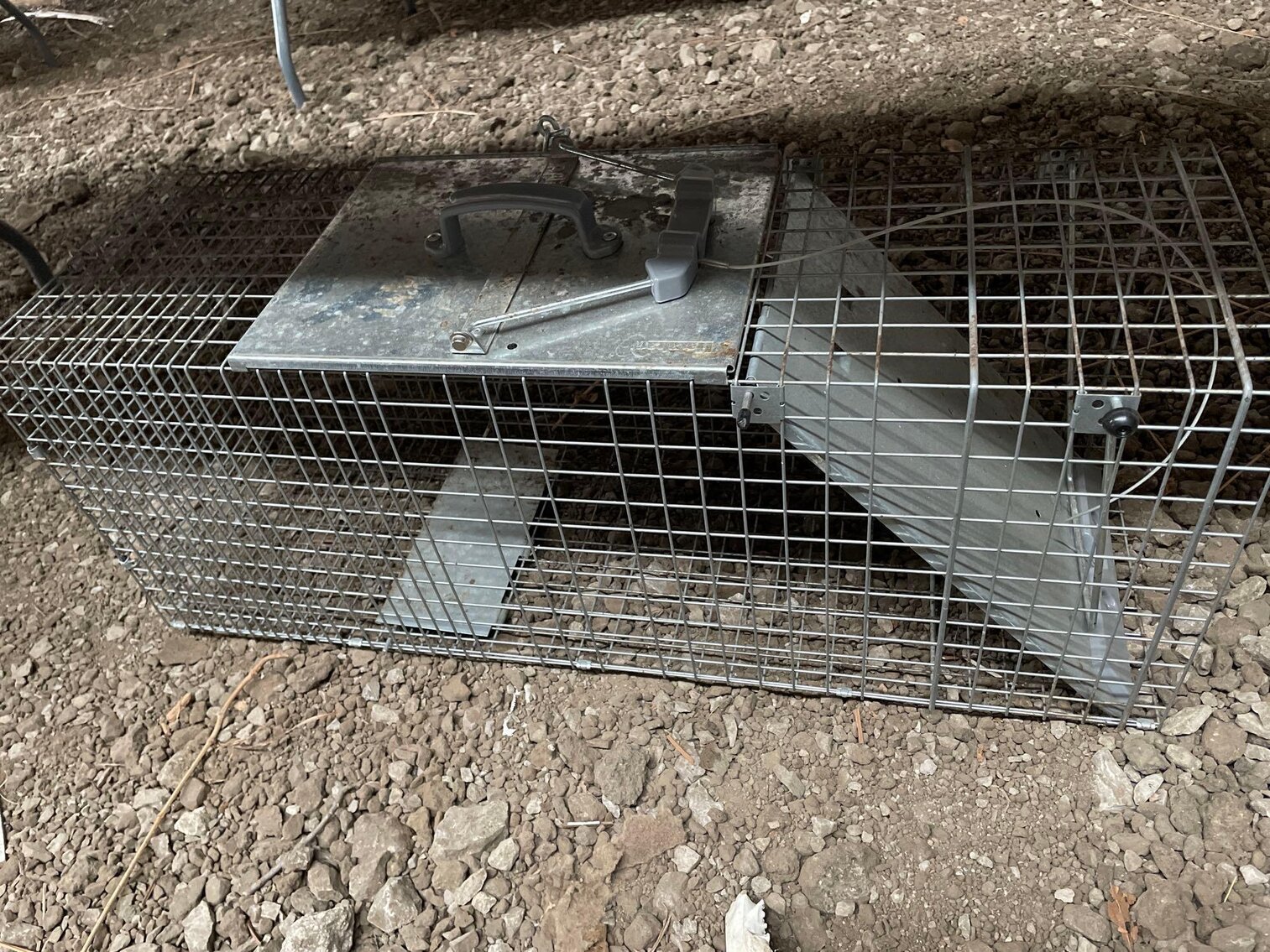 Image for Tools, Furniture, Collectibles, Coins, Vintage Items, Cast Iron, Auto/Boat Parts, Watches - Online Auction (Angola)