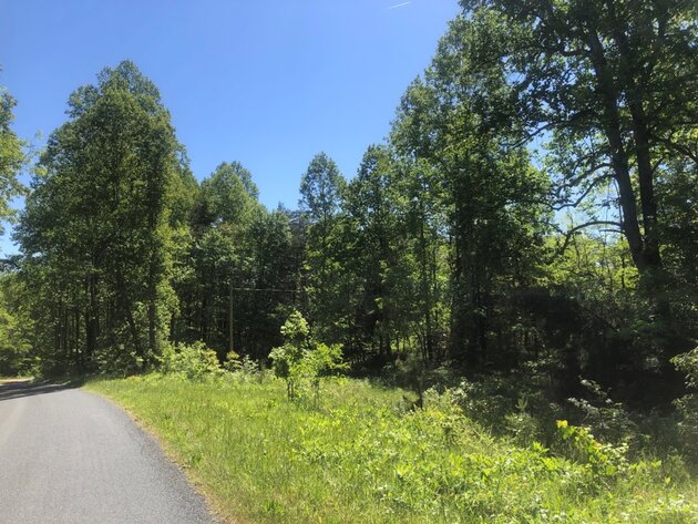 Image for Appomattox County, VA Tax Delinquent Sale of Real Estate