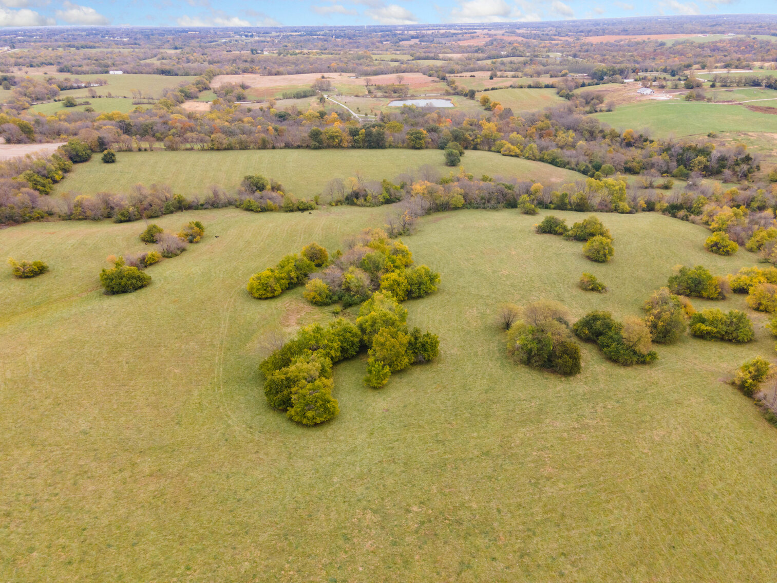 Image for SOLD! - 62+/- Acres Kearney, Missouri