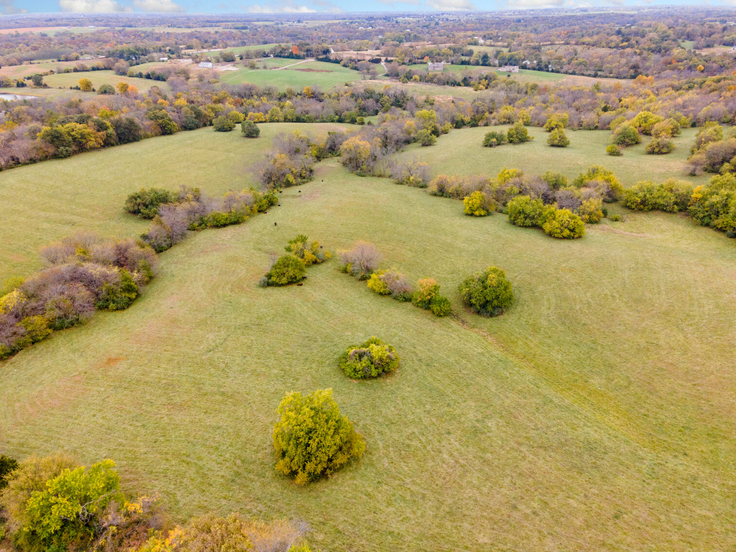 Image for SOLD! - 62+/- Acres Kearney, Missouri