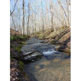Image for 68 acres - Sinking Creek - 1800's Log Cabin