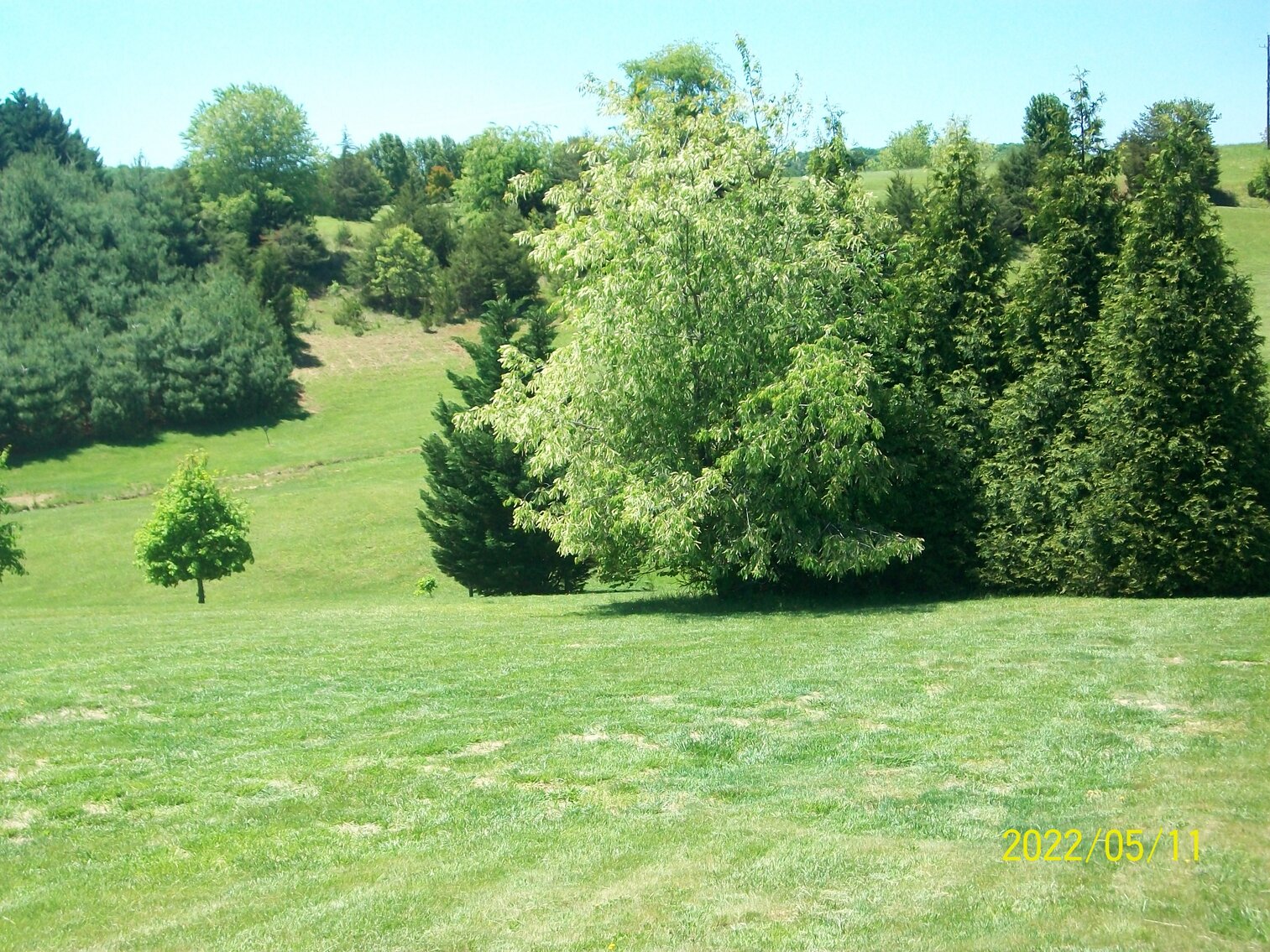 Image for 1,680 sft house on 5.04 acres in Moneta VA