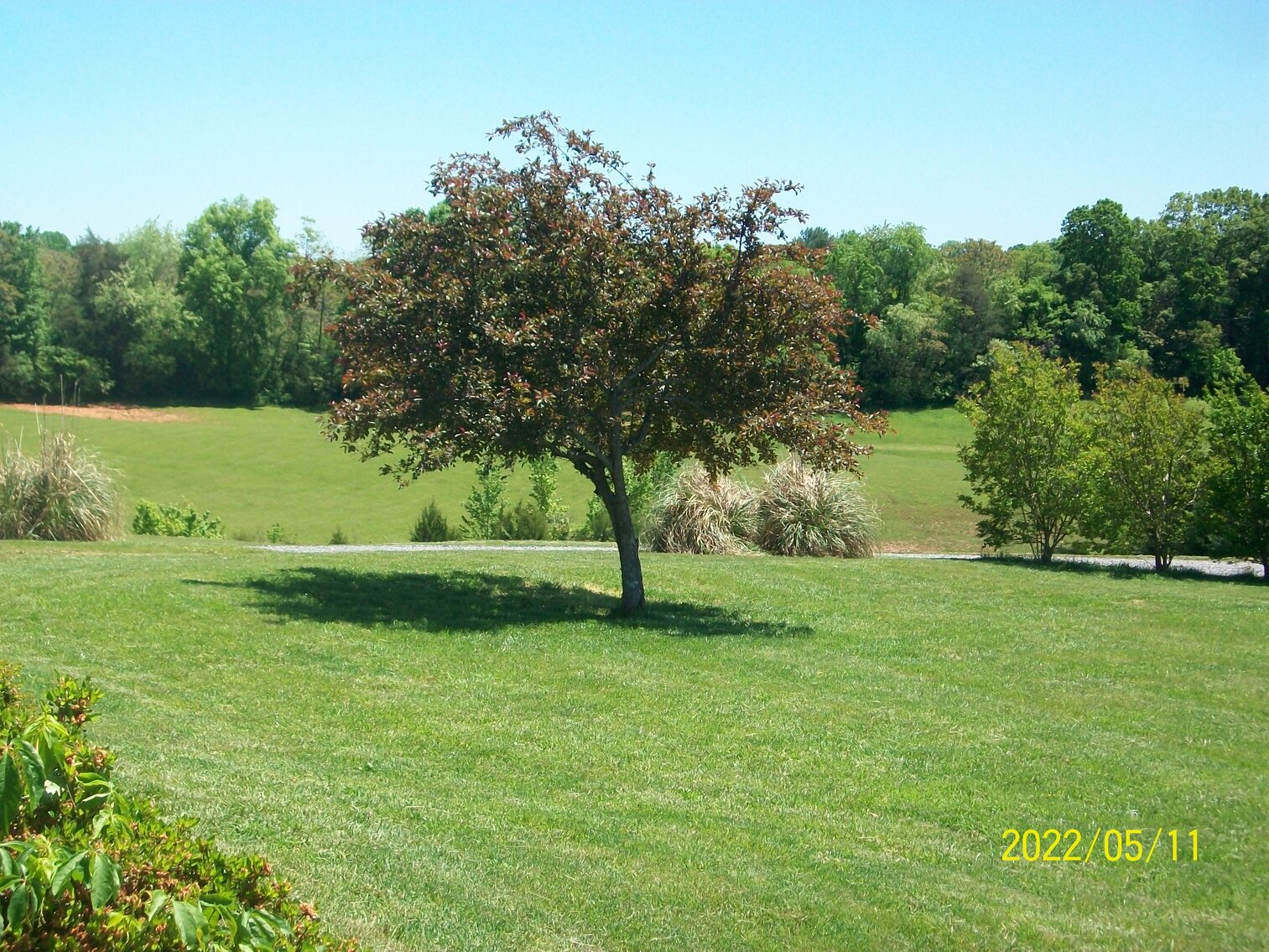 Image for 1,680 sft house on 5.04 acres in Moneta VA