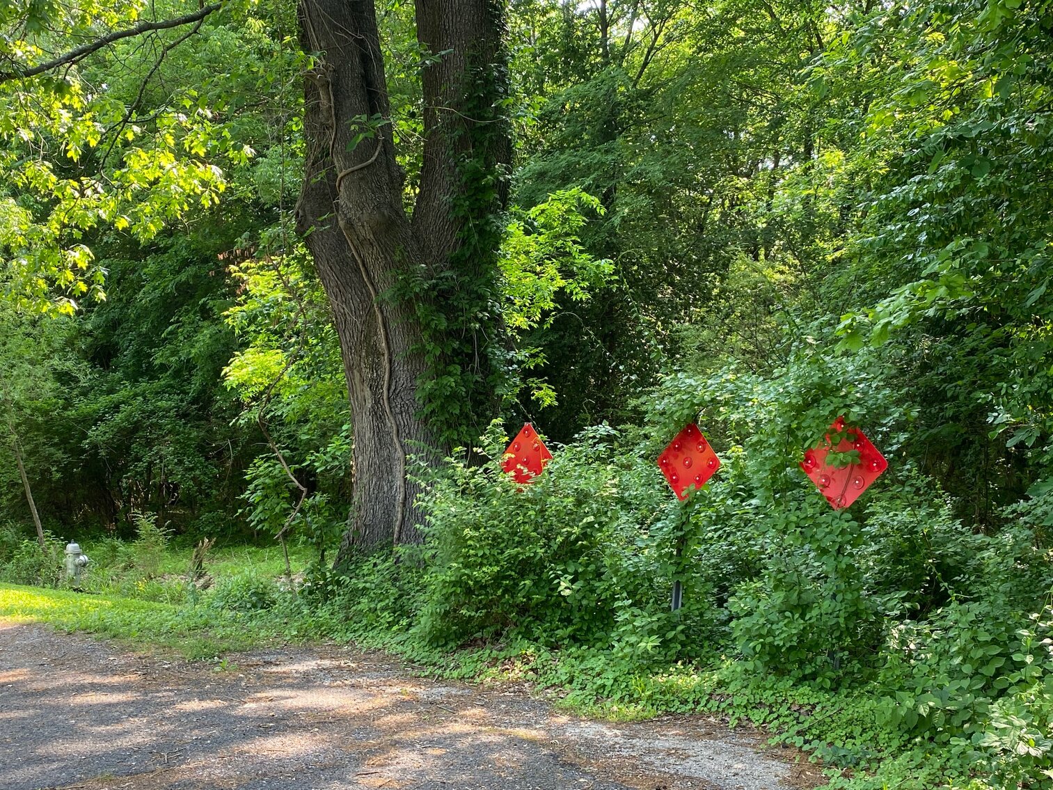 Image for ABSOLUTE ONLINE ONLY LAND AUCTION 1250 STARKE AVE