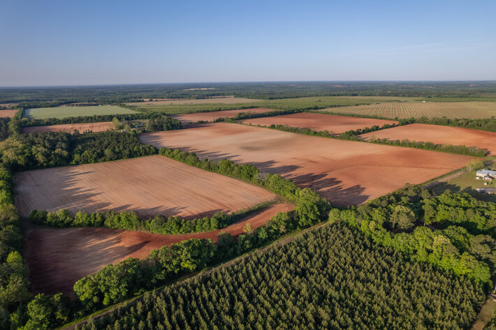 Image for 218+/- Acres Located in Webster County, Georgia - The Wills Estate