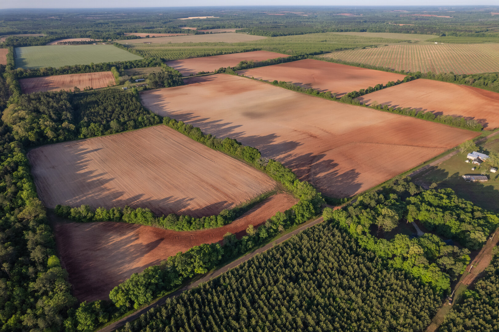 Image for 218+/- Acres Located in Webster County, Georgia - The Wills Estate