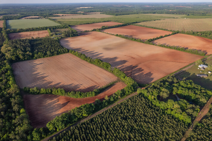 Image for 218+/- Acres Located in Webster County, Georgia - The Wills Estate