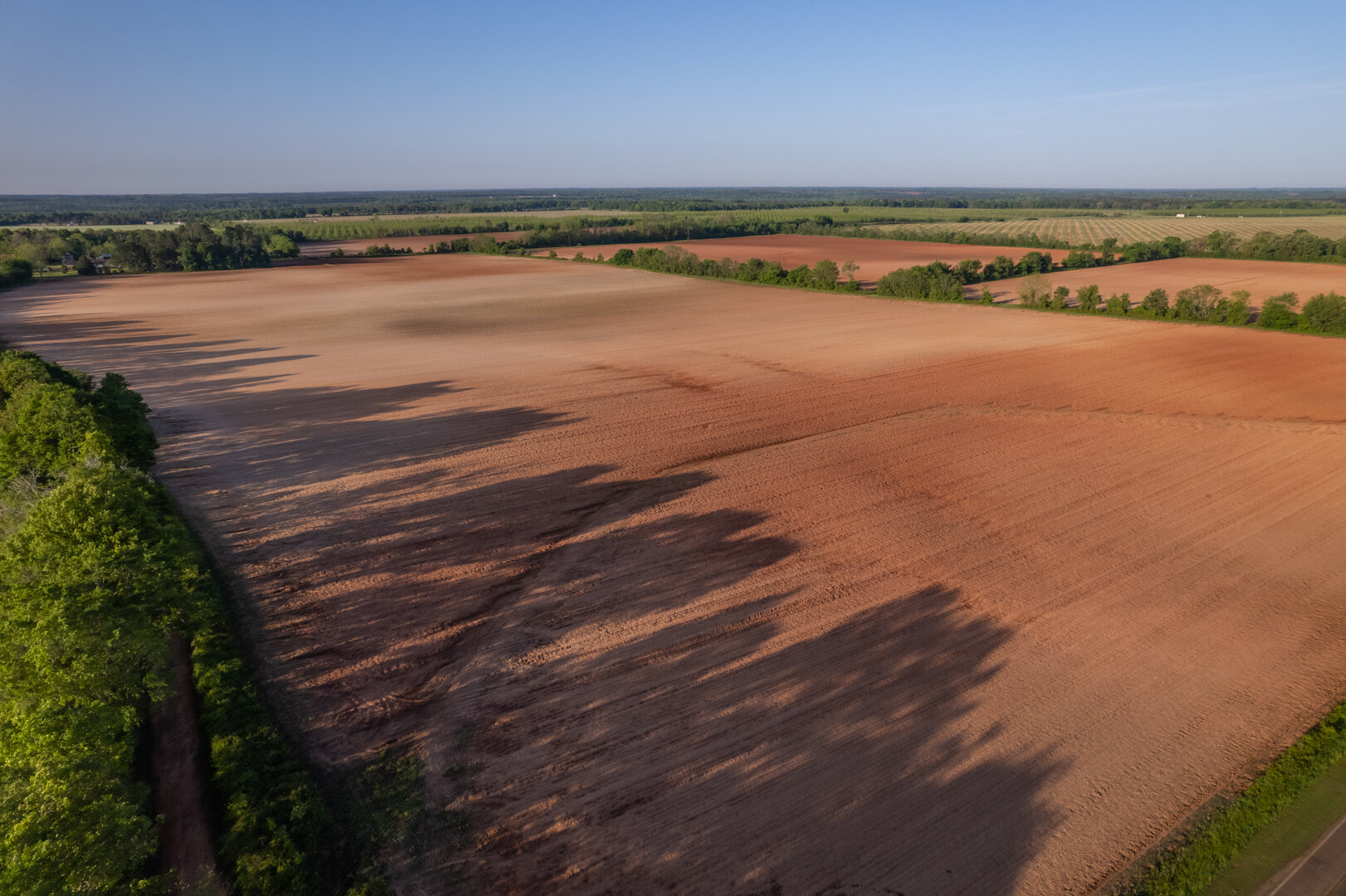 Image for 218+/- Acres Located in Webster County, Georgia - The Wills Estate
