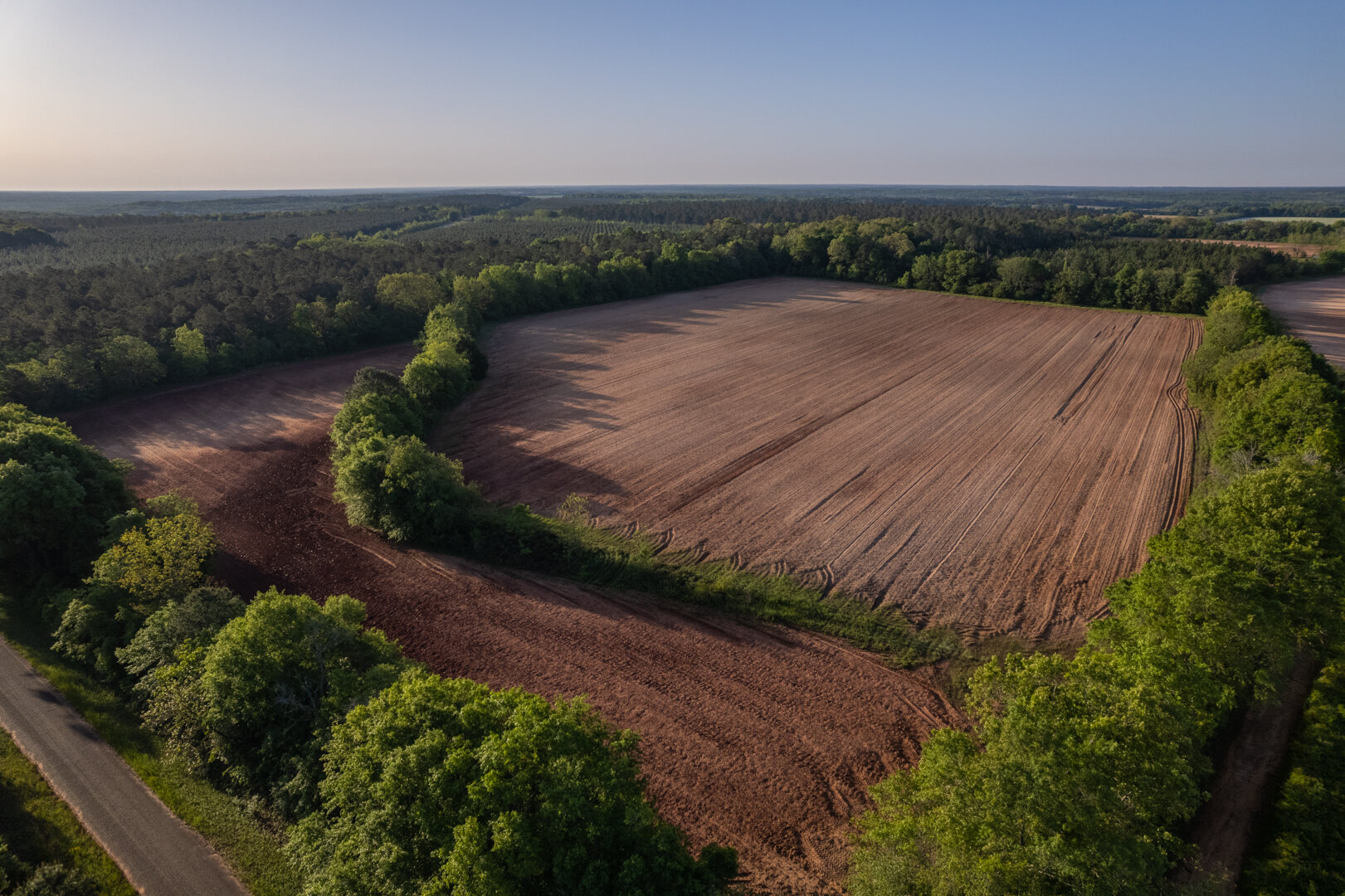 Image for 218+/- Acres Located in Webster County, Georgia - The Wills Estate