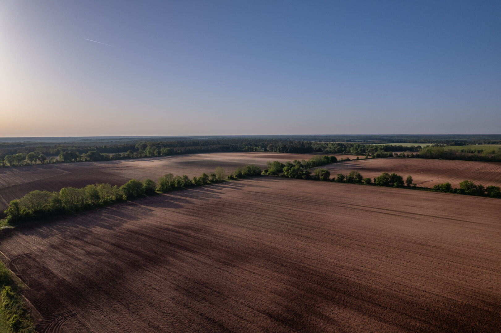 Image for 218+/- Acres Located in Webster County, Georgia - The Wills Estate