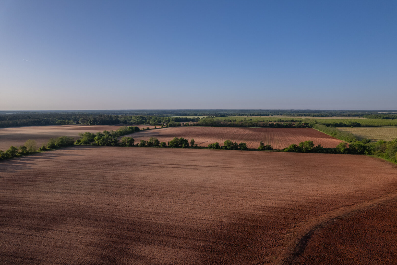 Image for 218+/- Acres Located in Webster County, Georgia - The Wills Estate
