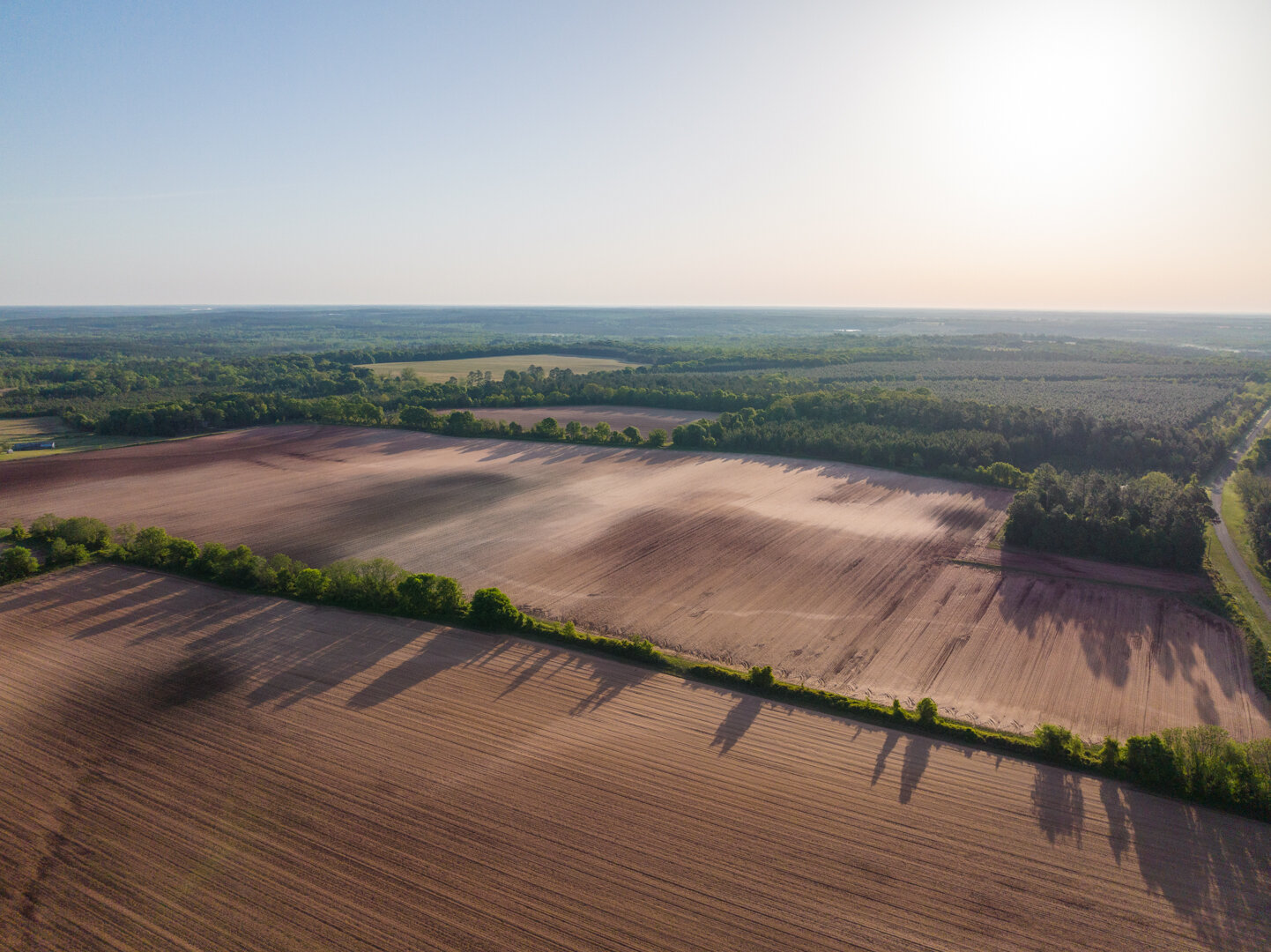 Image for 218+/- Acres Located in Webster County, Georgia - The Wills Estate
