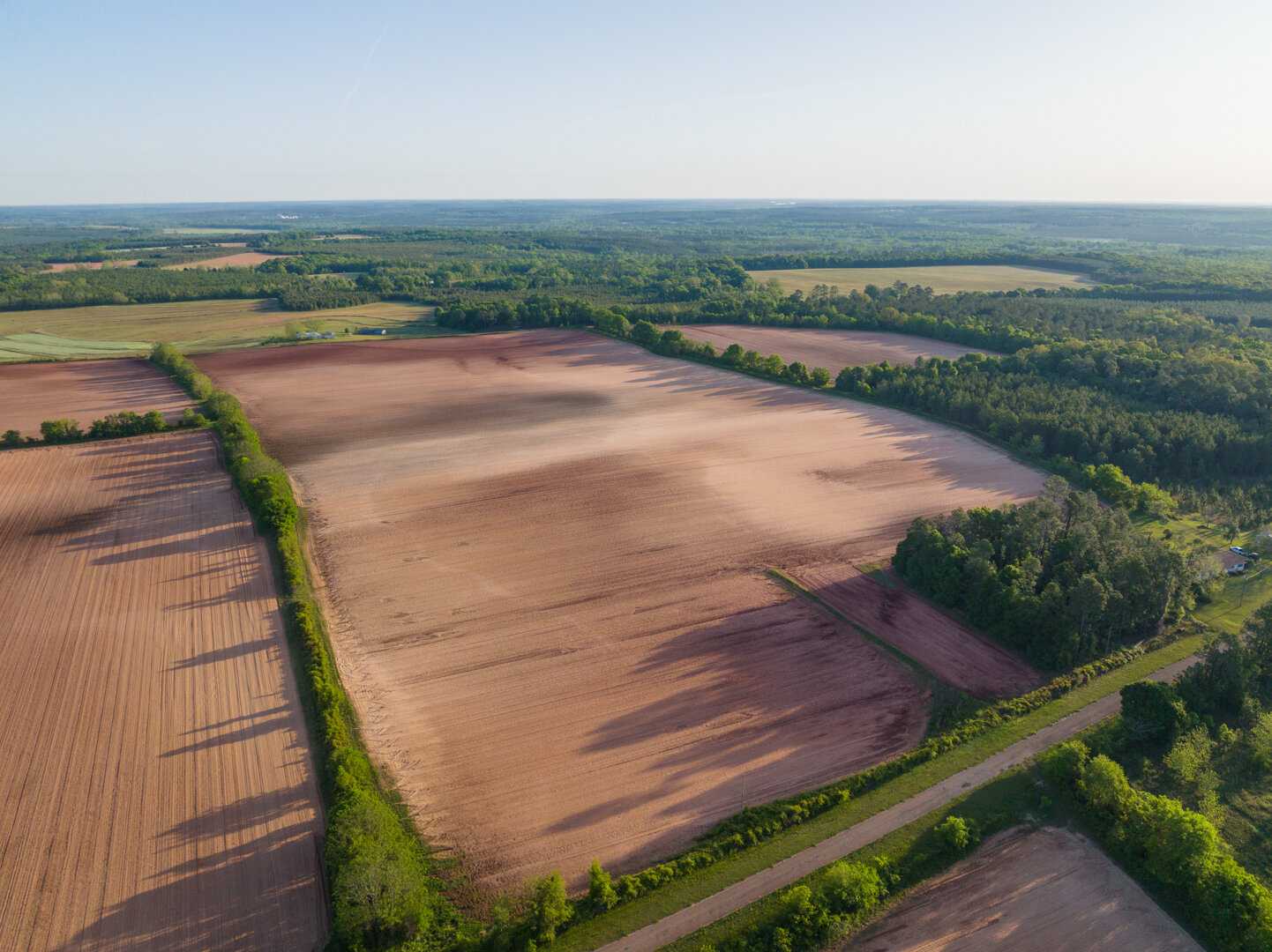 Image for 218+/- Acres Located in Webster County, Georgia - The Wills Estate