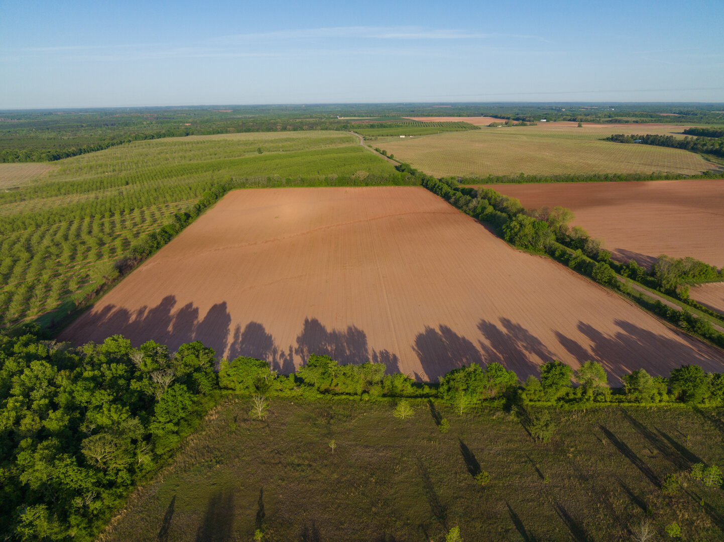 Image for 218+/- Acres Located in Webster County, Georgia - The Wills Estate
