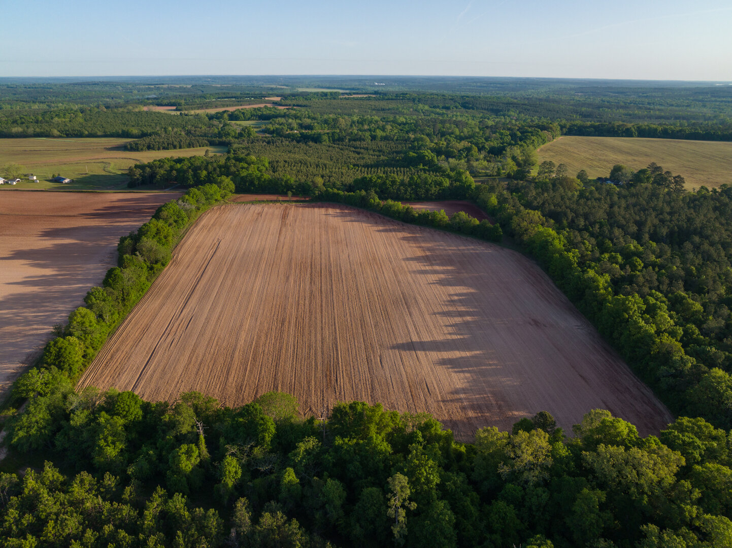 Image for 218+/- Acres Located in Webster County, Georgia - The Wills Estate