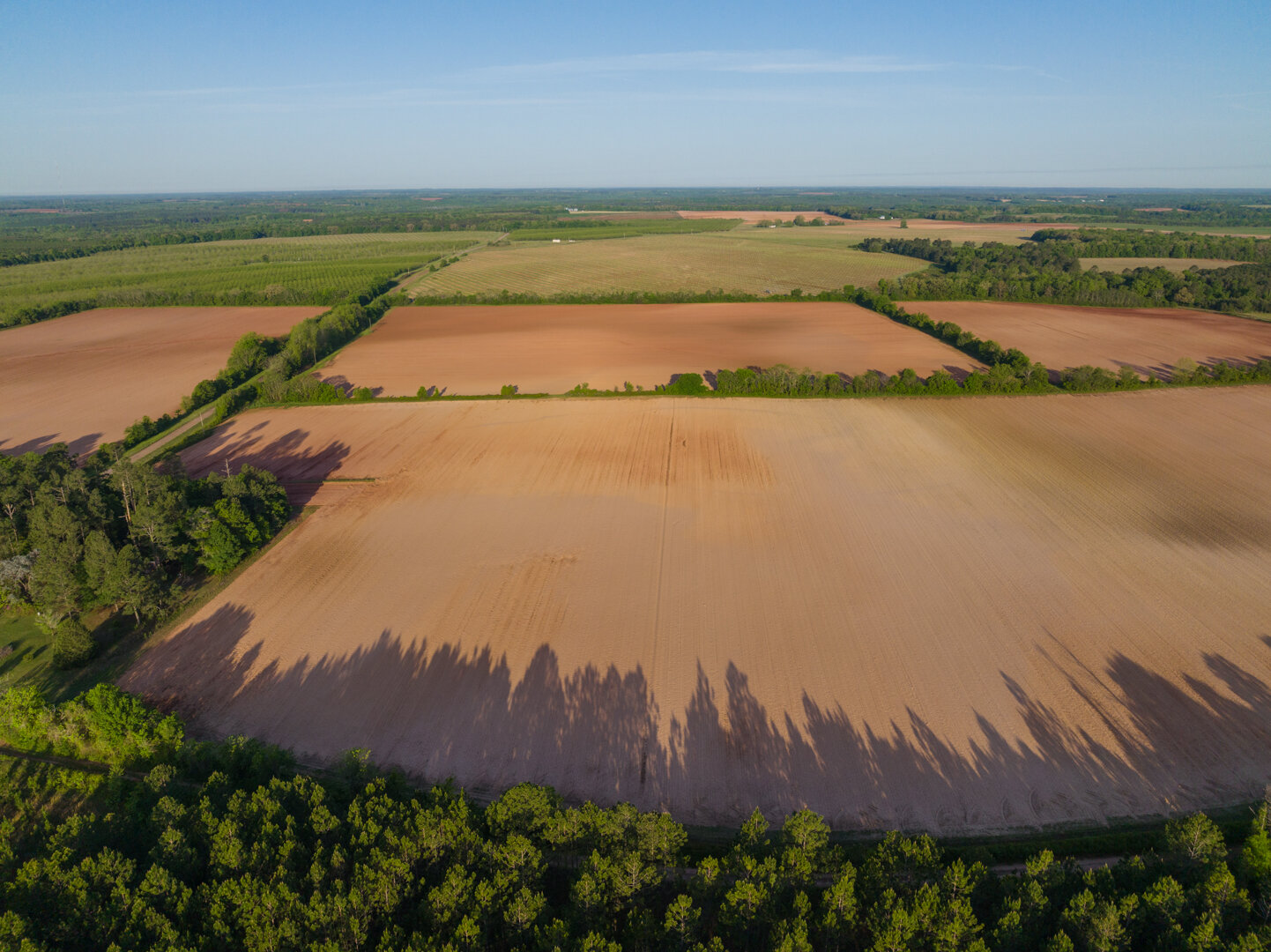Image for 218+/- Acres Located in Webster County, Georgia - The Wills Estate